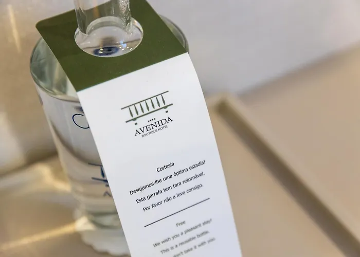 ホテル Avenida Boutique 4*